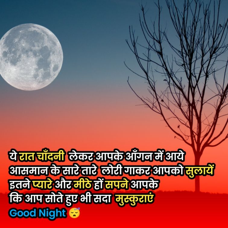good night Shayari ine Hindi photo