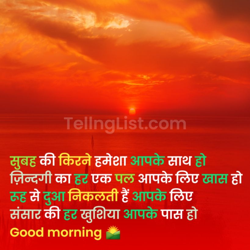 Good morning shayari friendship in Hindi with image SMS