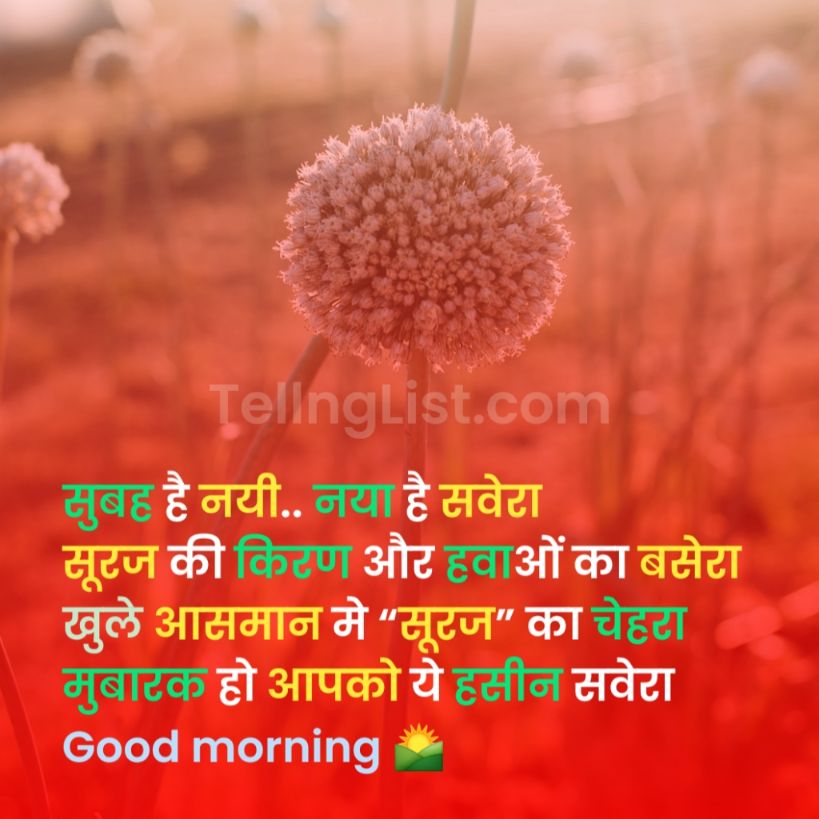 Good morning love shayari in Hindi